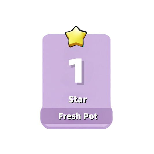 Set1 Fresh Pot,Set1:1