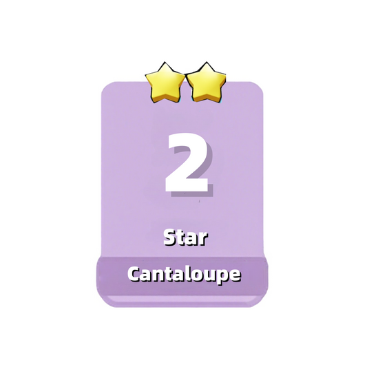 Set4 Cantaloupe,Set4:8